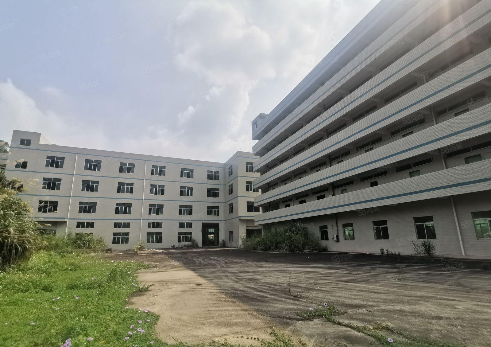 大亚湾塘布村新出独门独院标准厂房9500平出租可分租。