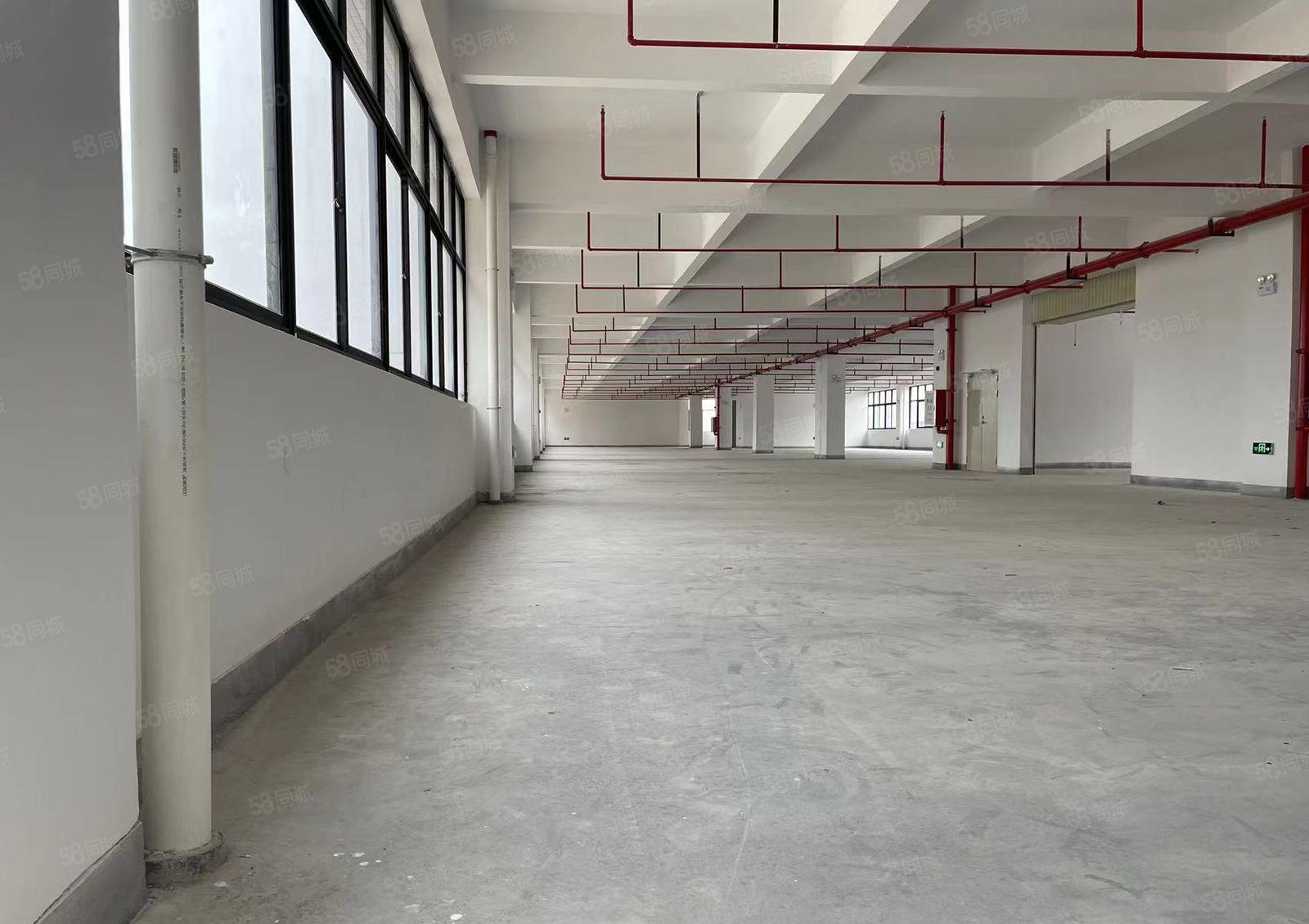 临深大亚湾全新一楼7.5米16万平厂房仓库仓库出租 缷货平台