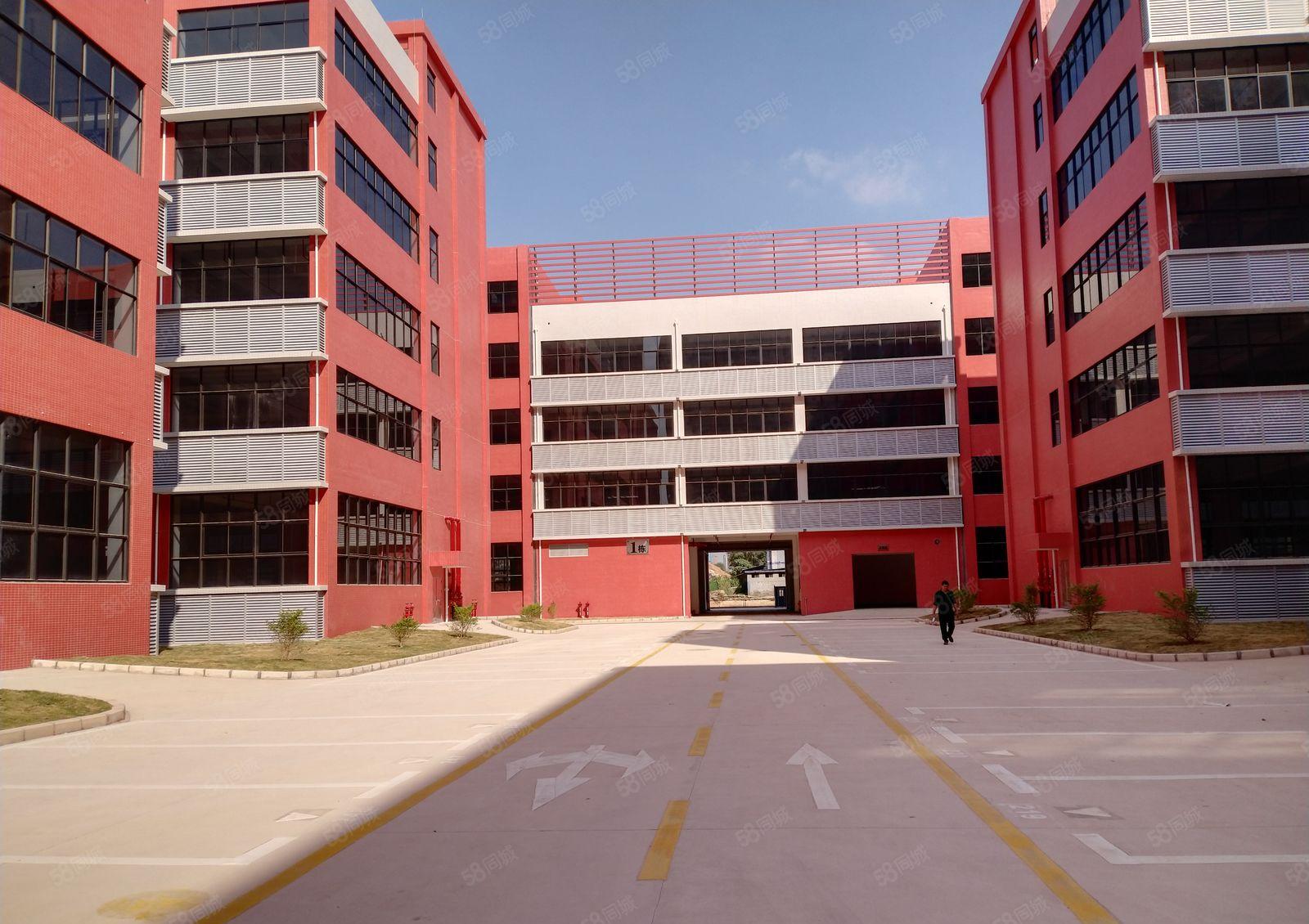 大亚湾龙山五路全新5万平厂房出租