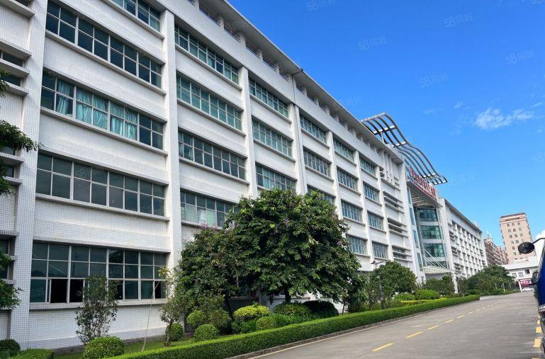 大亚湾临深工业园标准厂房出租，一楼带消防喷淋，空地大好停车