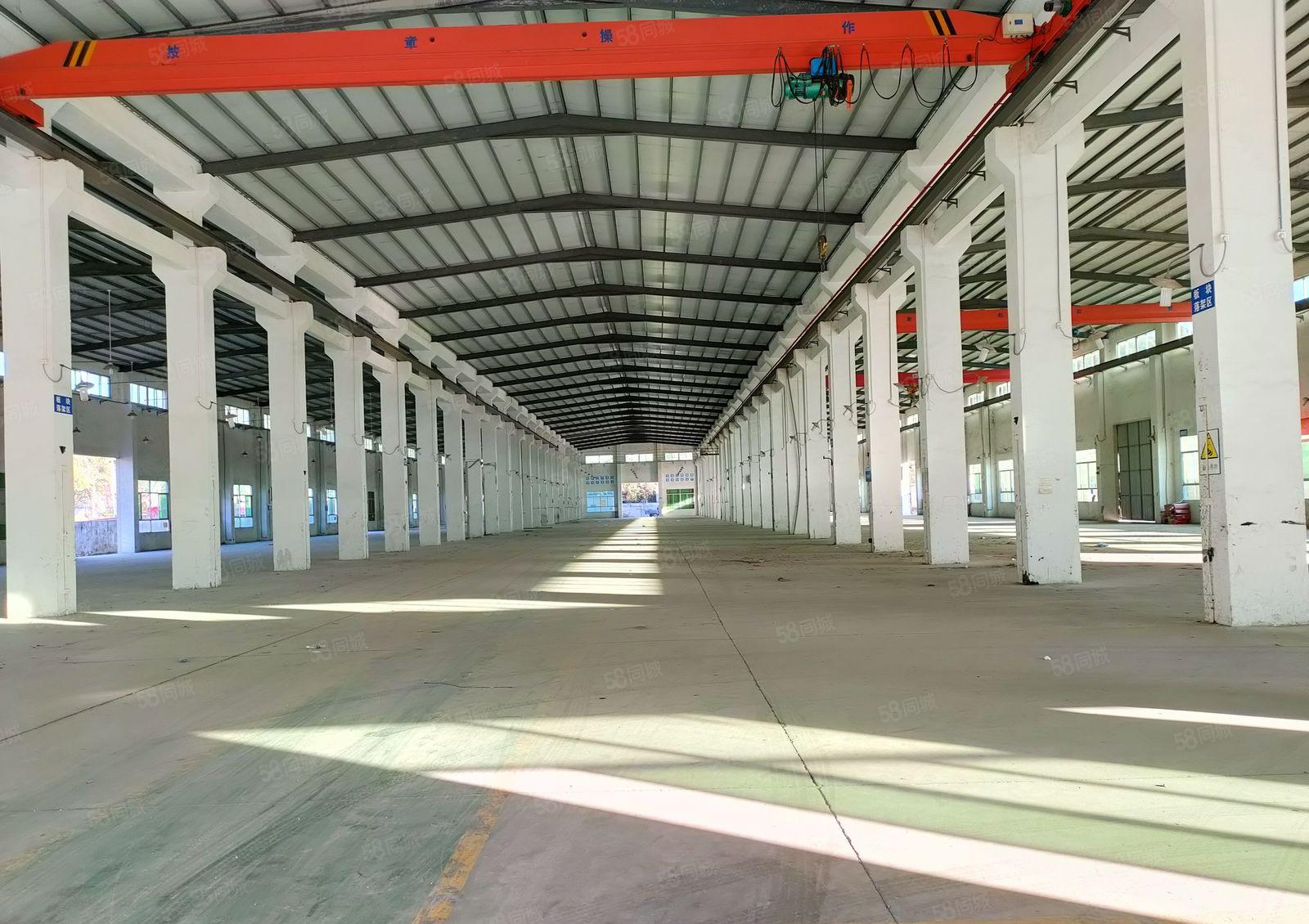 大亚湾10米高钢结构厂房出租，5000平方，可分租