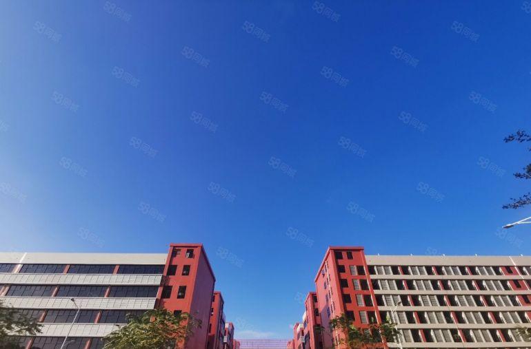 惠阳大亚湾500平原房东标准低价厂房出租，现成精装修有红本
