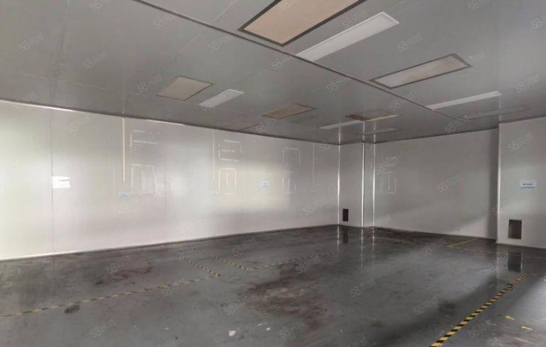 原房东，送精装修 一楼，无公摊面积，15元，层高7米，可分租