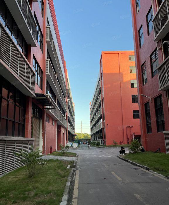 深圳坪山高新区旁，科技园内，新厂房12元一方
