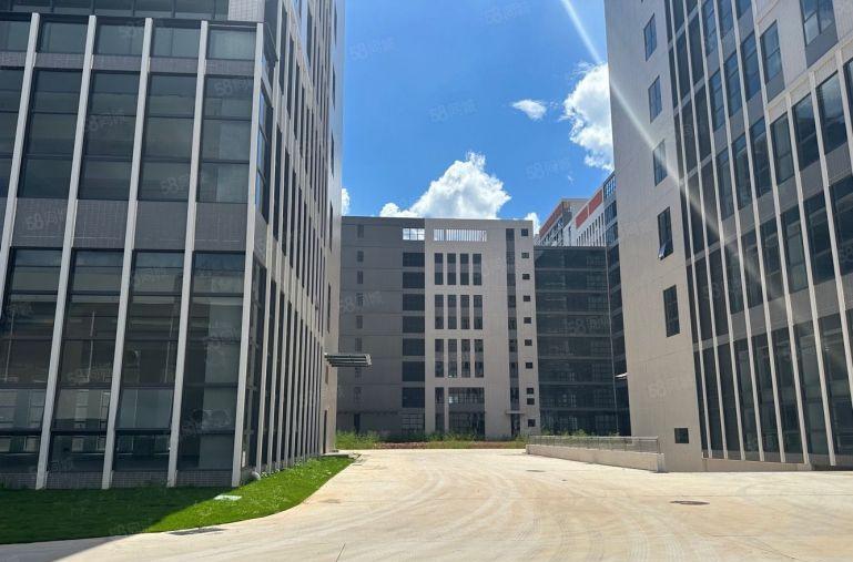 十元大亚湾新建全新园区二千平原房东实际面积出租 高使用率