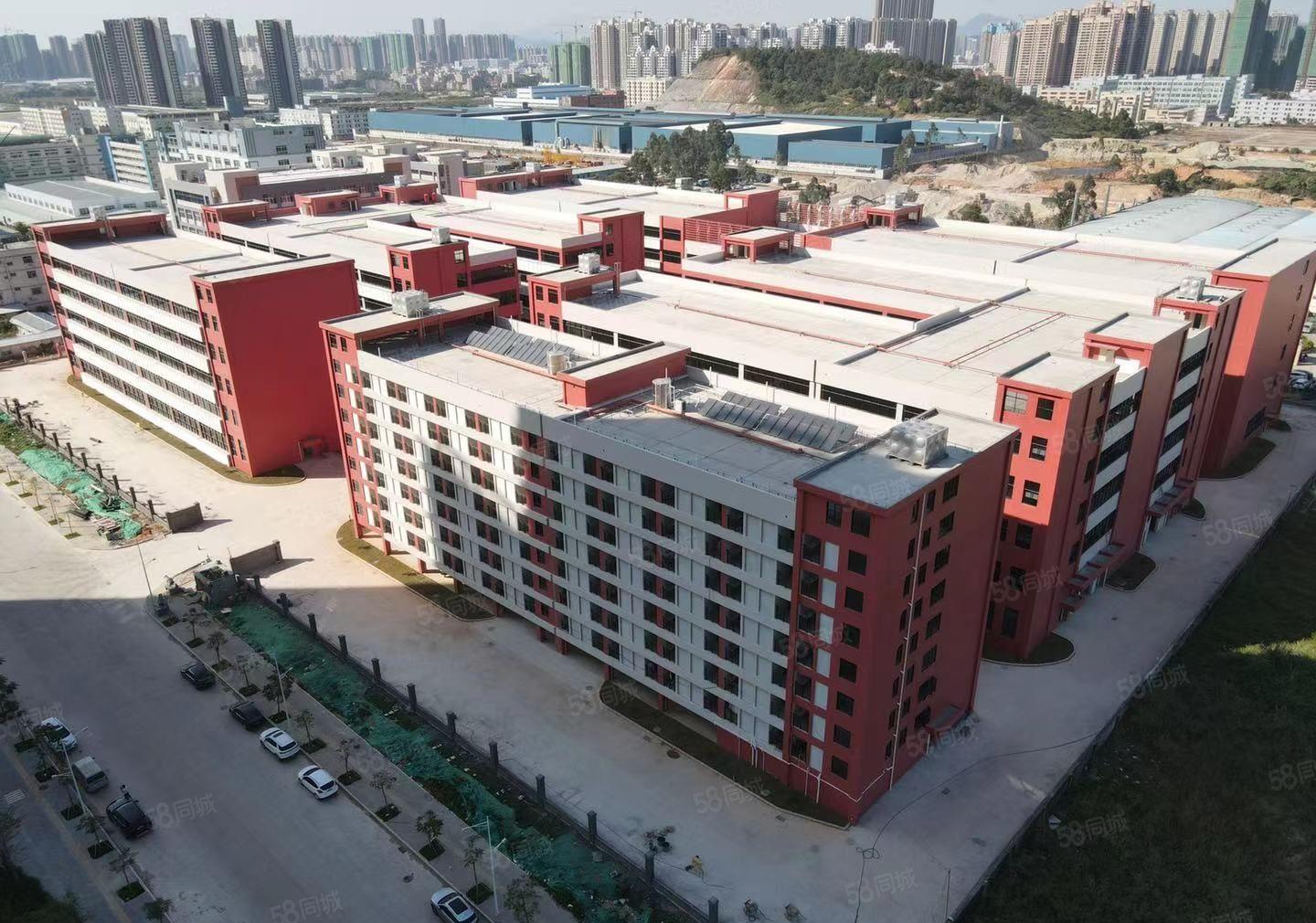 全新厂房，已交楼，租金便宜，免租期长