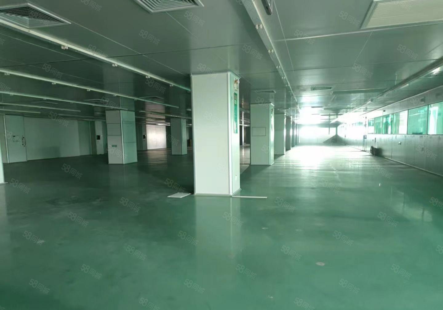 大亚湾可分割500平带地坪漆厂房14块出租