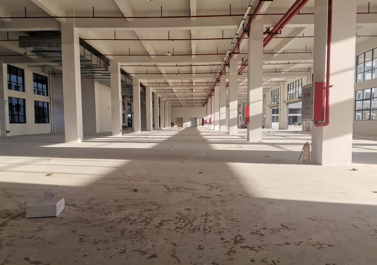 大亚湾西区22000平米全新红本厂房出租，可分租