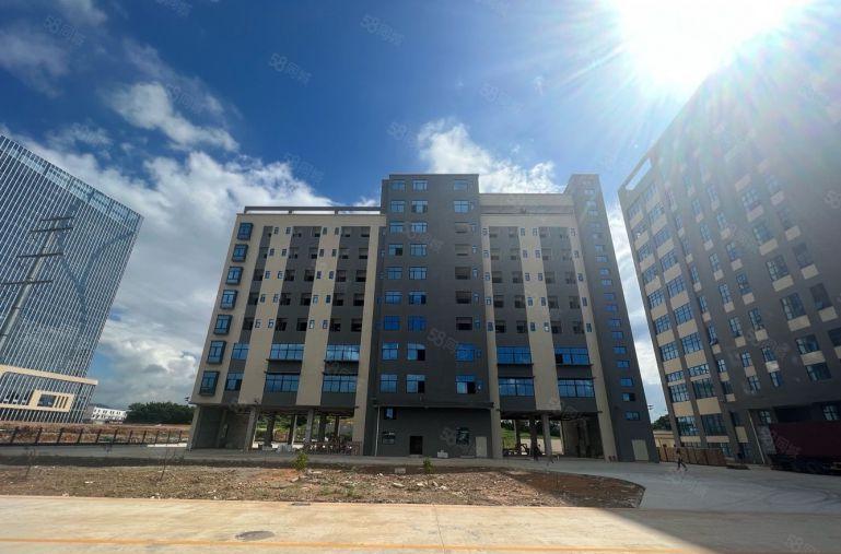 10元起租！大亚湾新出原房东2000平厂房仓库低价出租空地大