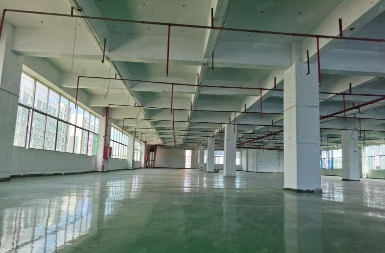200平米起租！大亚湾西区大工业园区厂房200平至2000平