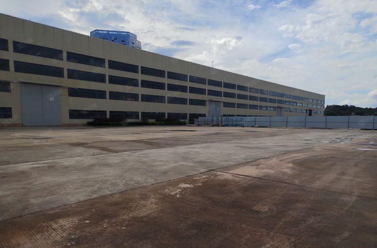 惠州市大亚湾原房东22000平米，16米高钢结构厂房诚意出租