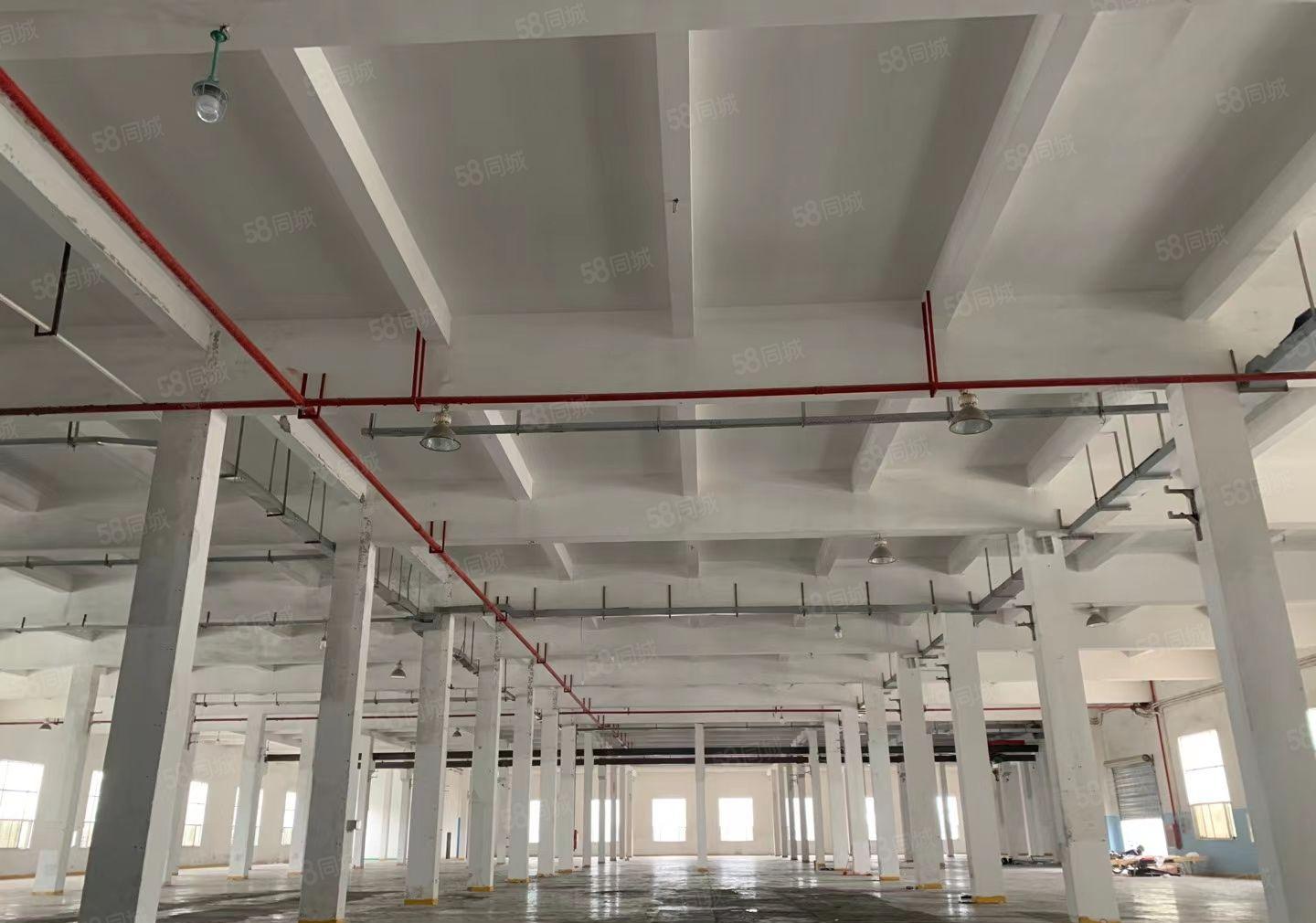 大亚湾原房东红本厂房，可办环评，空地大，带现成5吨行车