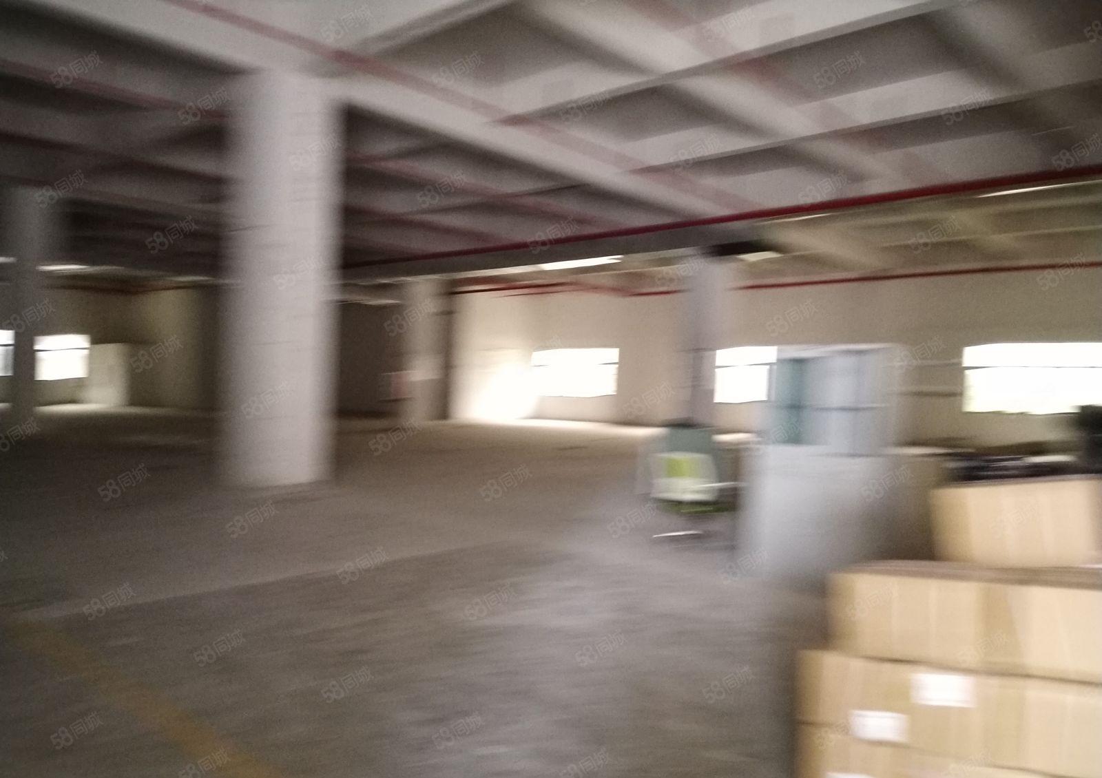 惠阳龙光城临深6500厂房招租（可分租）