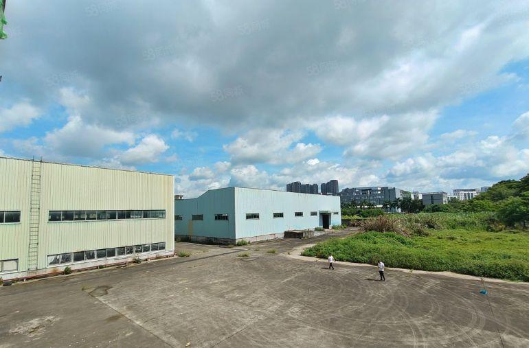 龙岗10米单一层厂房出租