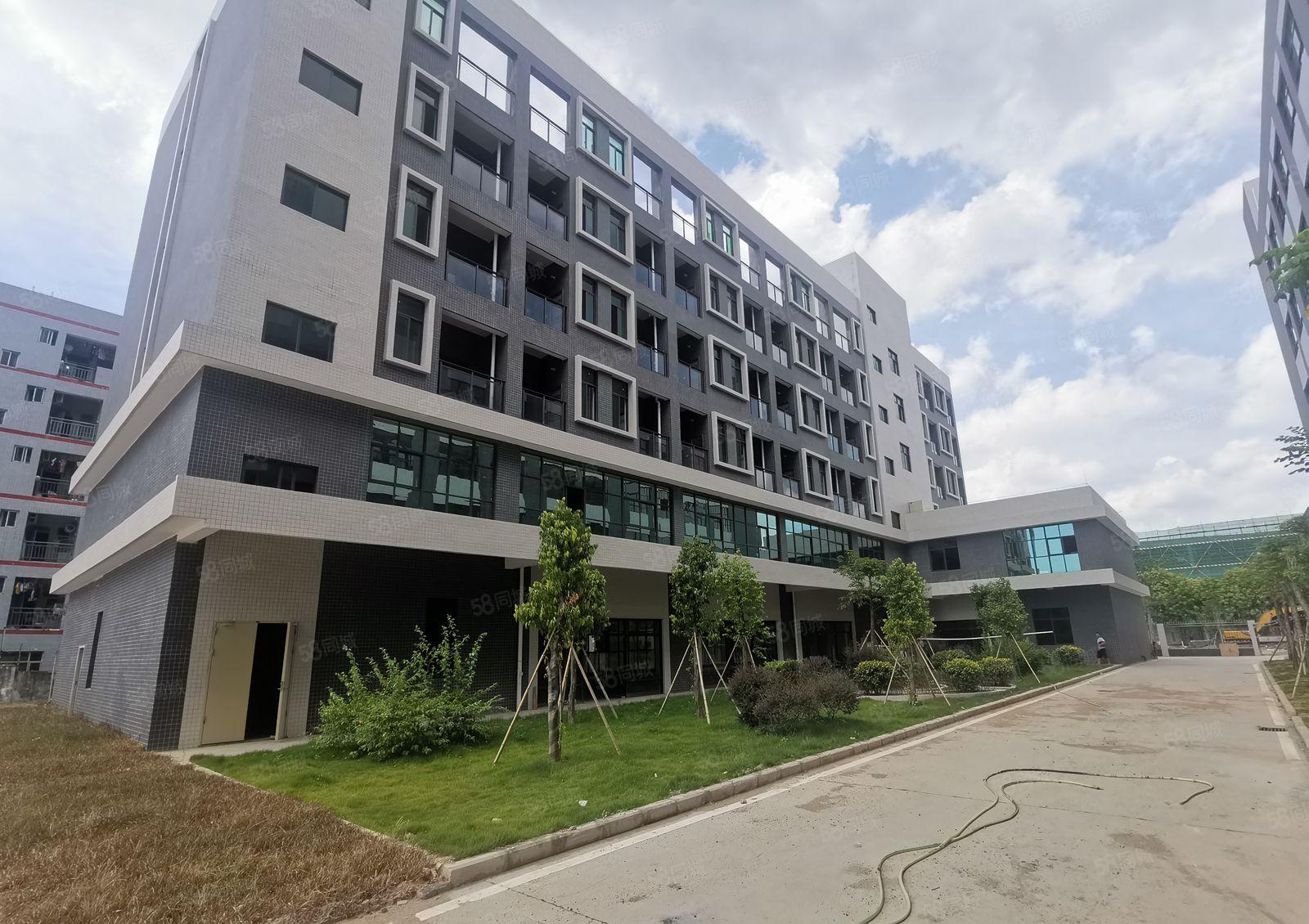 大亚湾全新红本标准厂房24000平米出租，空地超大，交通便利