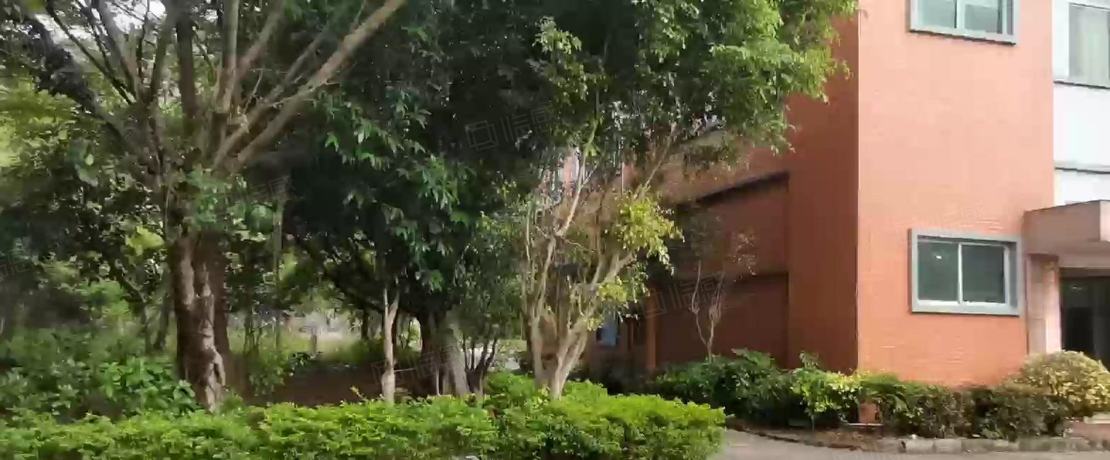 大亚湾塘布花园式独院厂房12000平 临深500米不靠居民区