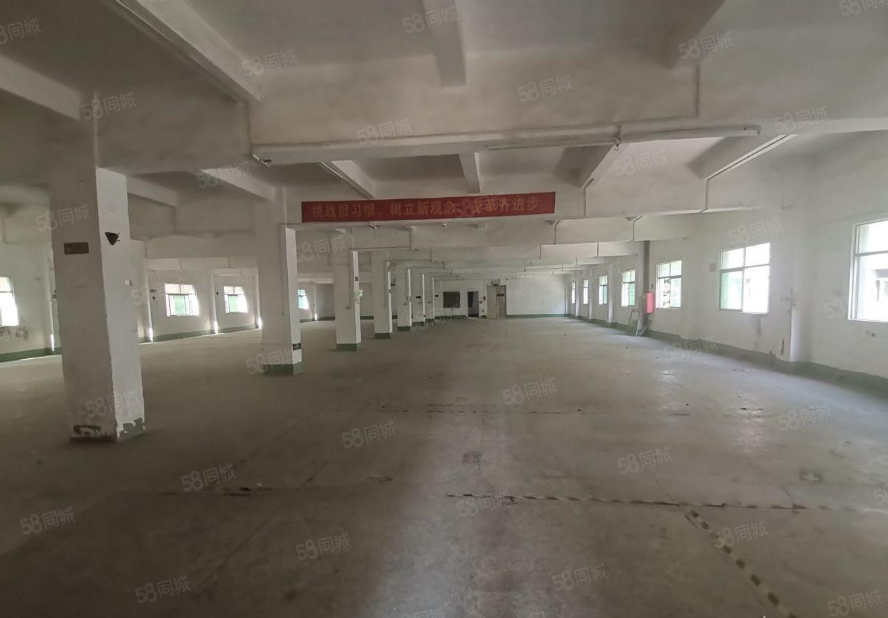 工业园厂区招租500平方起分租楼层随意选合同年限灵活！