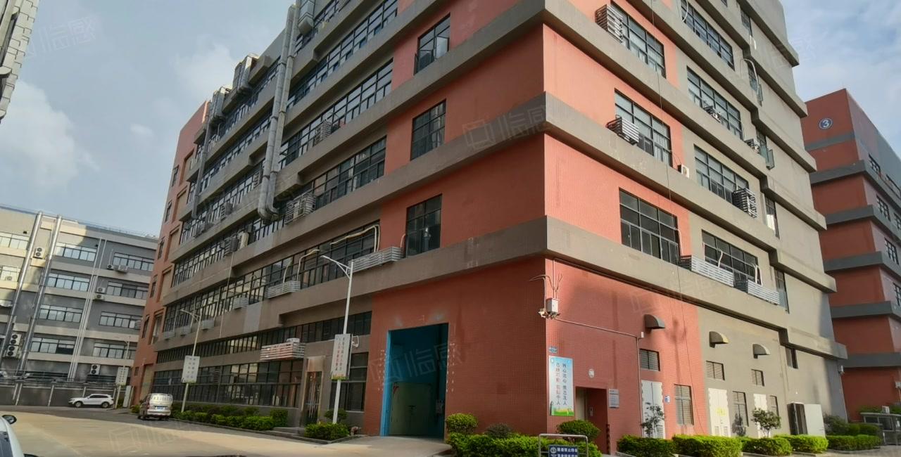 大亚湾西区工业园红本厂房新出1200平方带装修两部三吨电梯