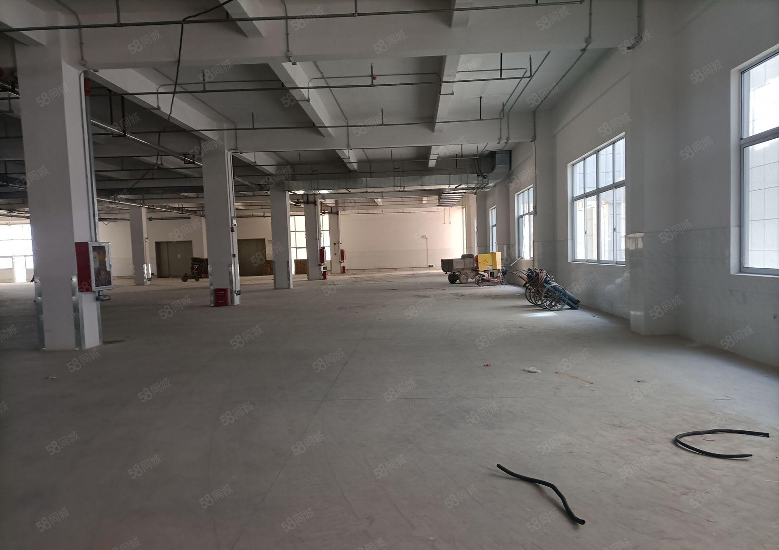 5000平厂房招租一楼临龙光城一公里