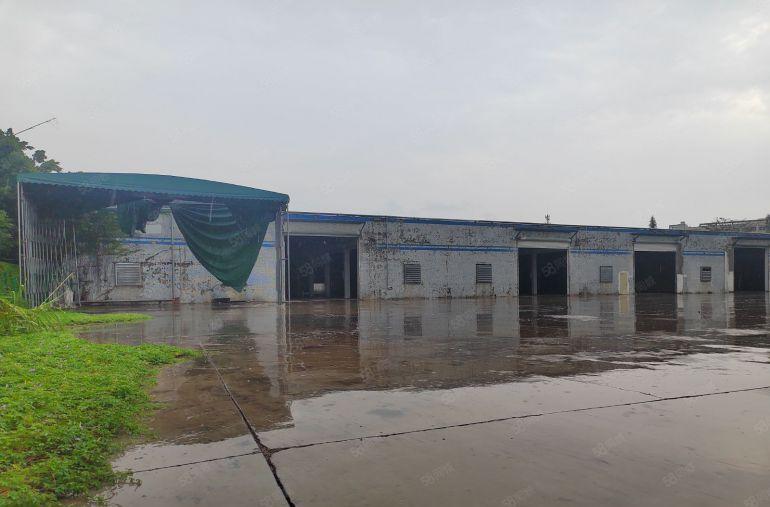 惠州市大亚湾独门独院钢构22300平两栋单一层钢构厂房出租