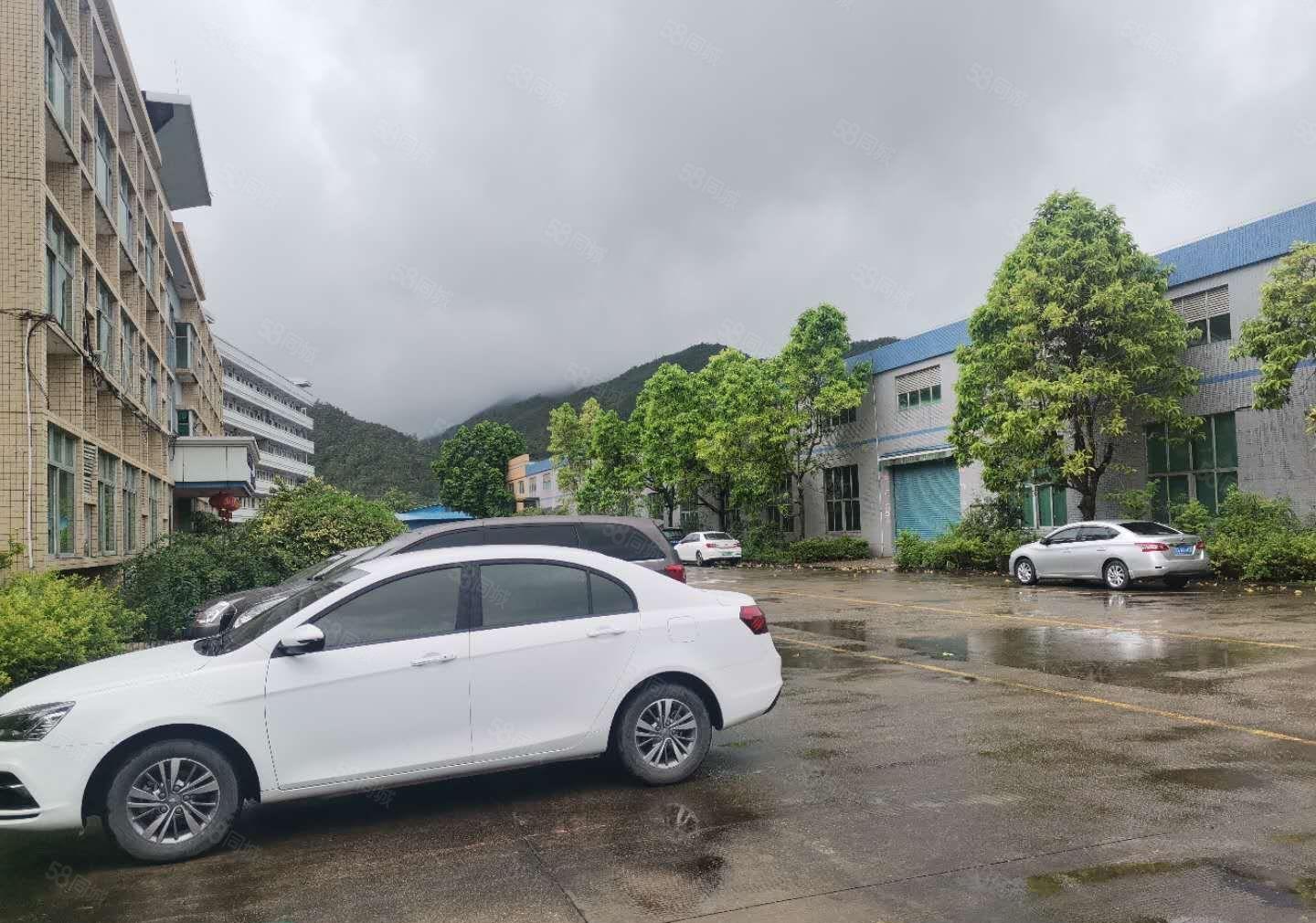 大亚湾8000平方米单一层钢结构厂房，层高10米，可以分租