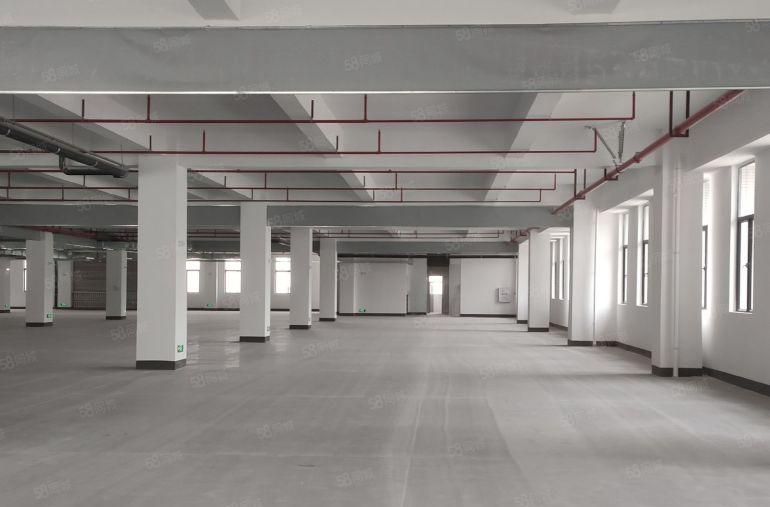 10元！大亚湾临深全新2000平楼上标准厂房仓库出租，可分租