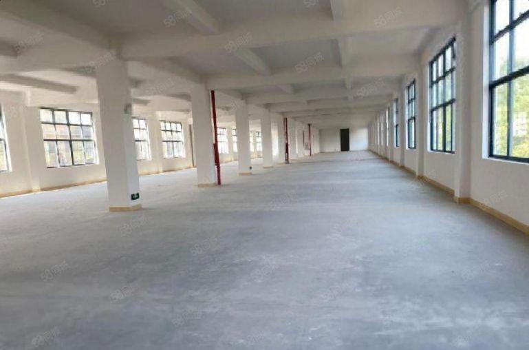 大亚湾原房东独门独院标准厂房500平起分租齐全好招工