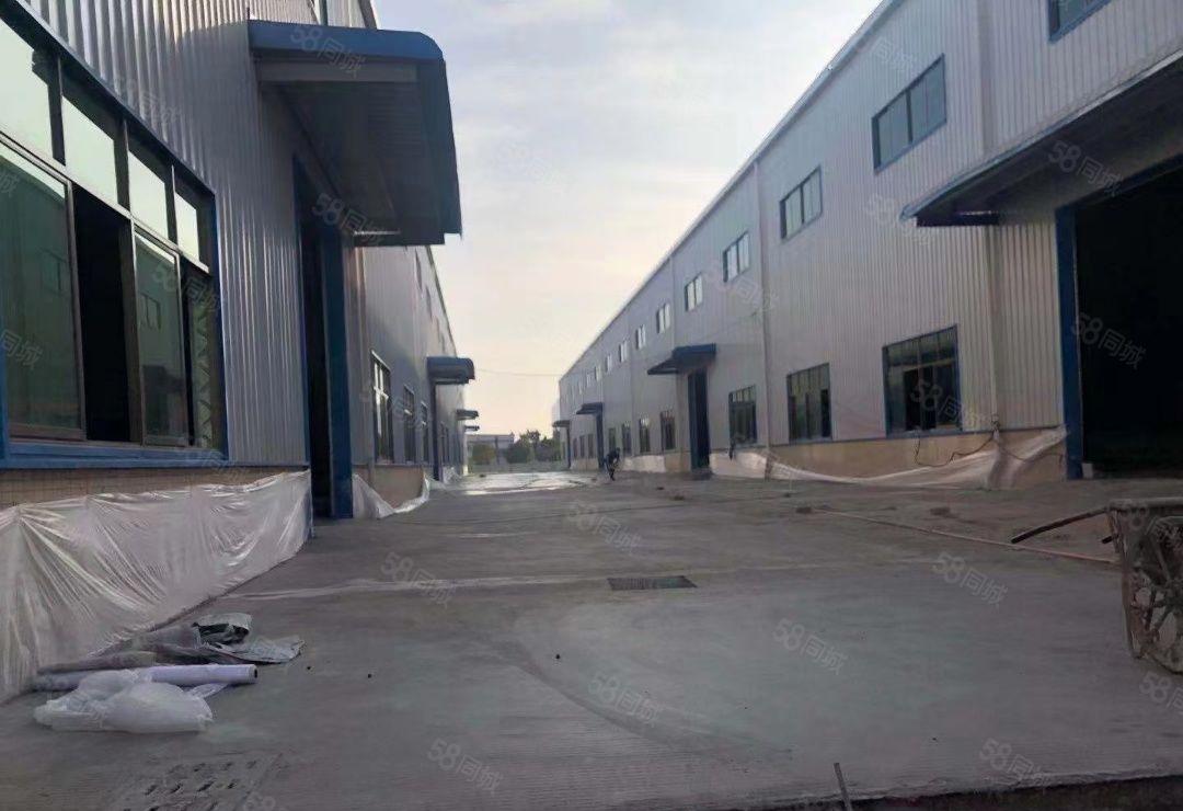 大亚湾全新钢构厂房滴水12米，4万平方出租