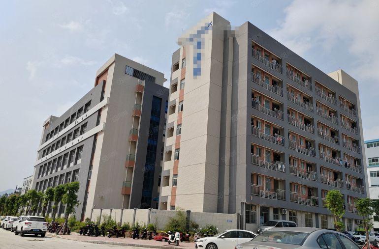 6元！6元！6元！大亚湾原房东标准厂房仓库低价出租