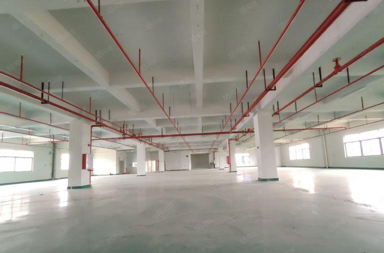 大亚湾龙光城原房东12000平方红本厂房仓库出租可分租