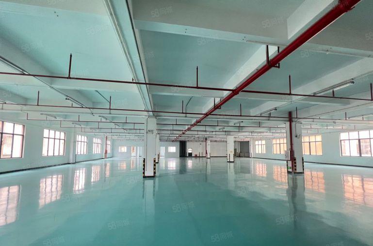 大亚湾新出楼上3000平米地坪漆厂房仓库低价出租大小可分租