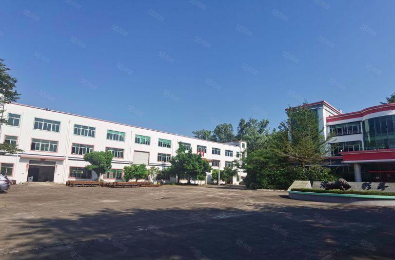 6元大亚湾西区原房东低价厂房仓库2500平出租，300平起分