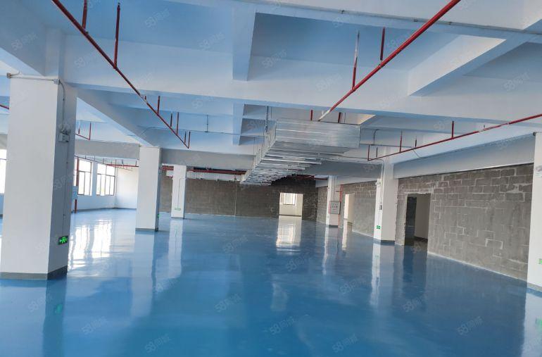 低价10元大亚湾西区3000平方带装修厂房出租原房东可办环评