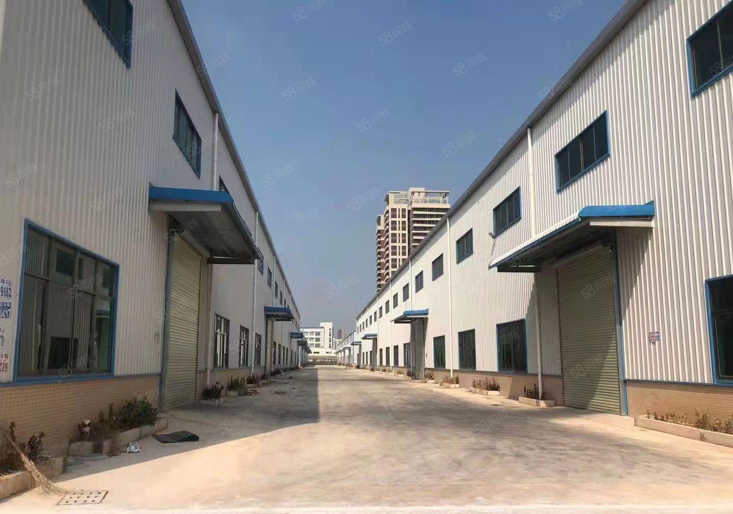 大亚湾全新钢构厂房滴水12米，4万平方出租