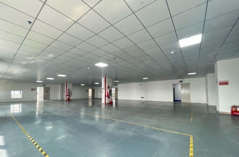 大亚湾西区临深新出一千平带地坪漆楼上厂房十块低价出租！空地大