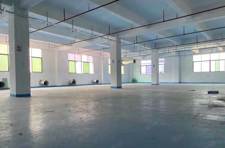 大亚湾原房东独门独院5000平办公室仓库厂房低价出租