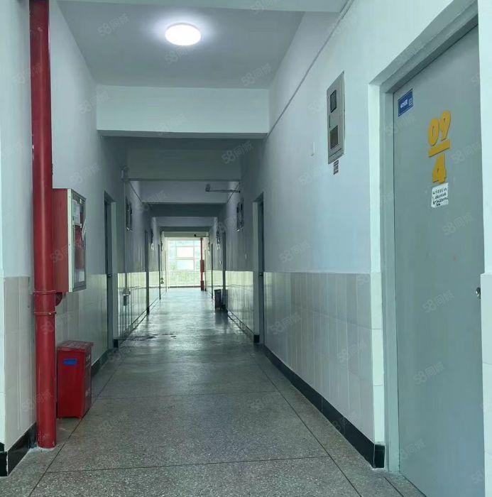 大亚湾临深文体馆，带装修及全套设备培训机构场地招租