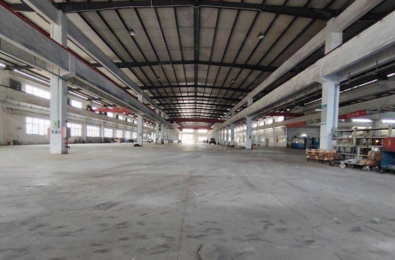 惠阳原房东独门独院5000平方米，单一层厂房出租，高度10米