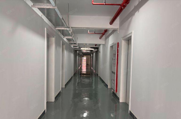 含税！全新厂房实际20000平出租低价900起分园区配套齐全