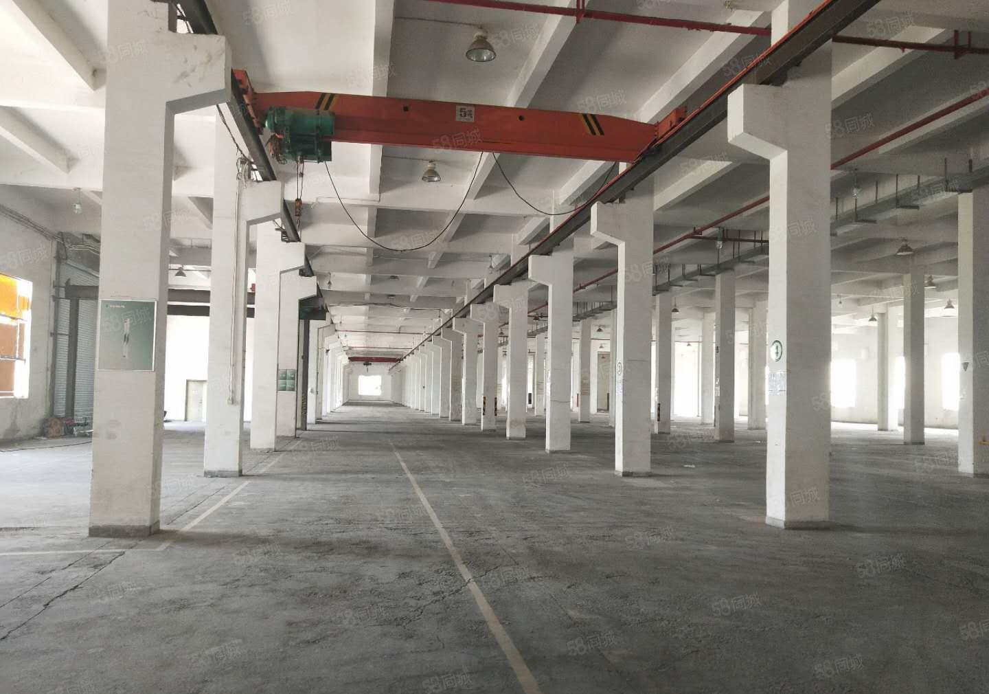 可办环评！滴水14米高带卸货平台4台行车厂房招租