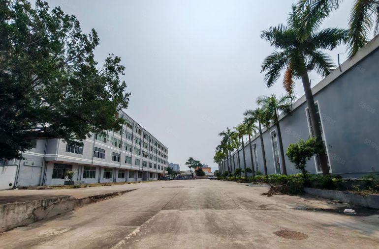 大亚湾独院钢构厂房9米高超大空地可做物流，仓库大型设备生产