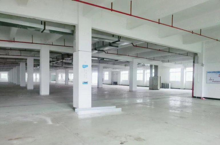 临深大亚湾 原房东 厂房平出租1000平起租 无公摊低价出租