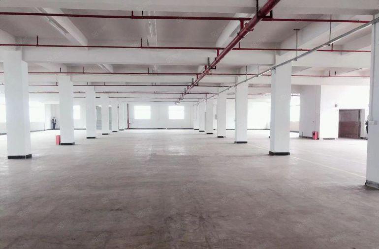 大亚湾临深独门独院，5000平可分租，空地大，低价出租