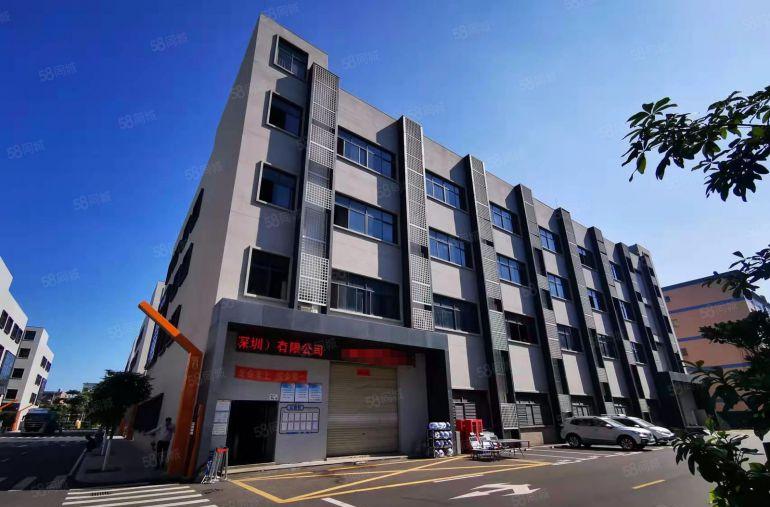 龙光城附近原房东一二楼各2000平全新厂房低价出租