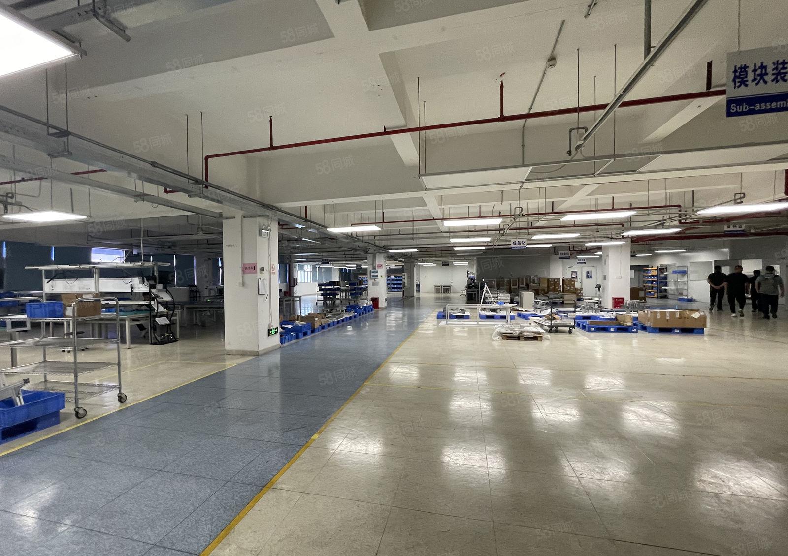 惠州大亚湾西区厂房出租楼上1600平方带装修三吨电梯可分租