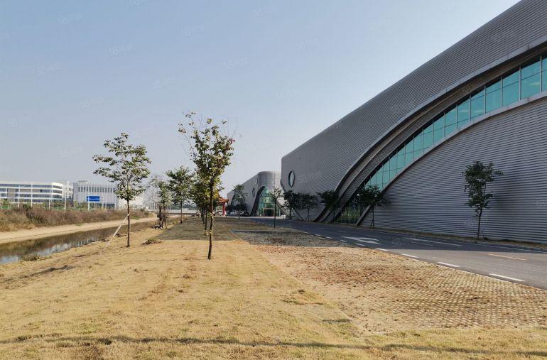 惠州市大亚湾西区38000平米，高标准钢结构厂房出租，可分租