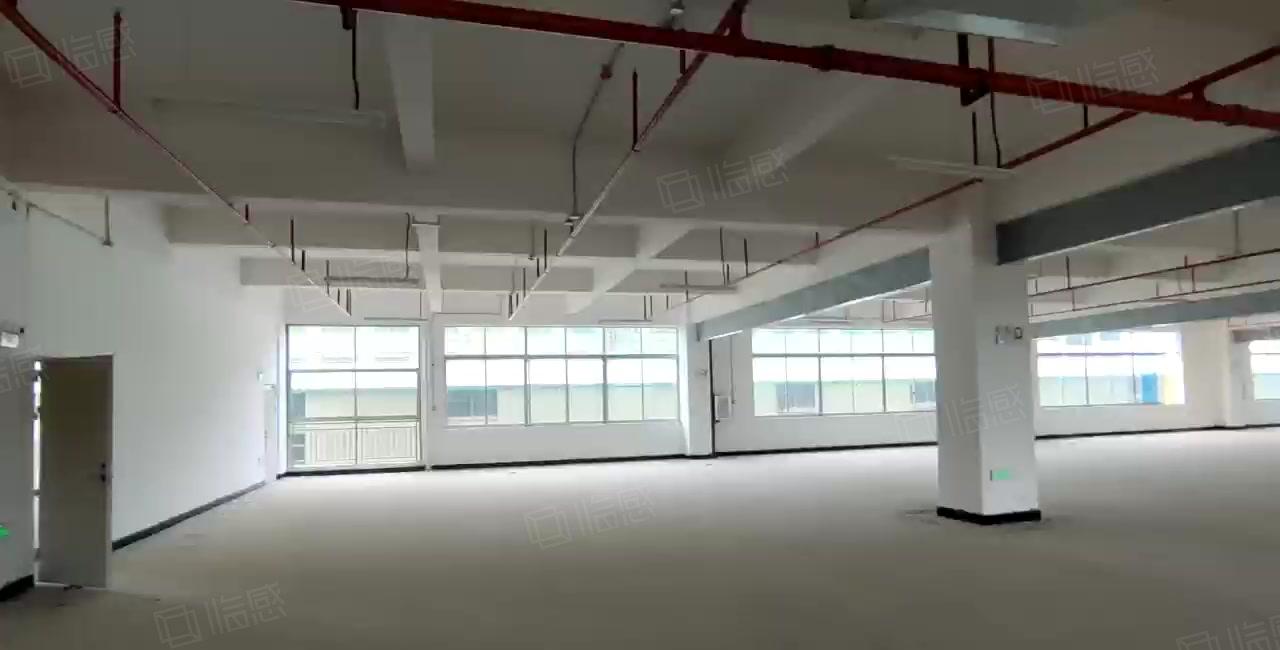 大亚湾全新独门独院7500平方厂房出租，750平起分