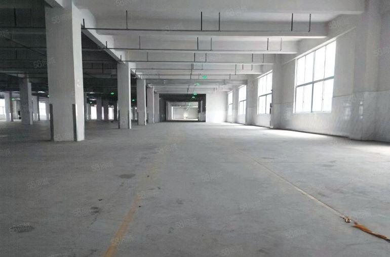 12块钱大亚湾西区楼上厂房，2009000