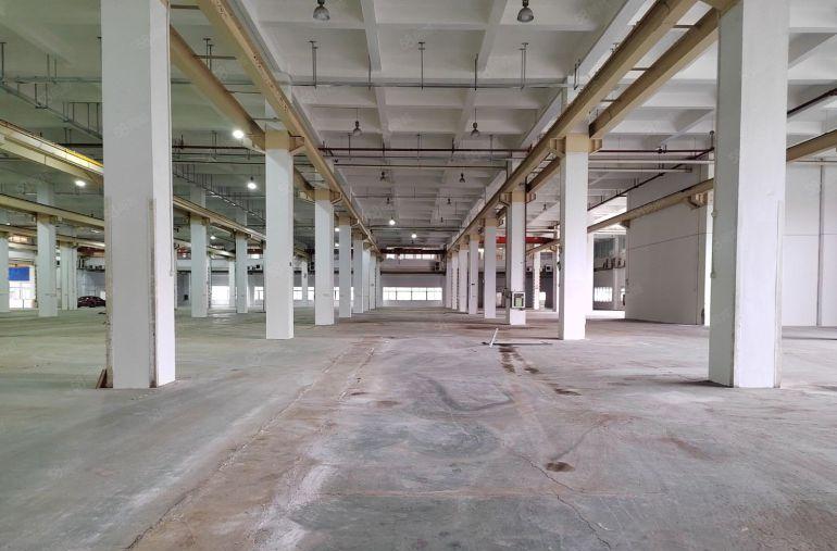 大亚湾西区1楼高度9.5米，厂房出租，11800平米可分租