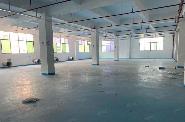 大亚湾原房东独门独院5000平办公室仓库厂房低价出租